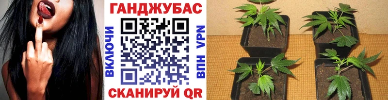 Марихуана конопля Светогорск